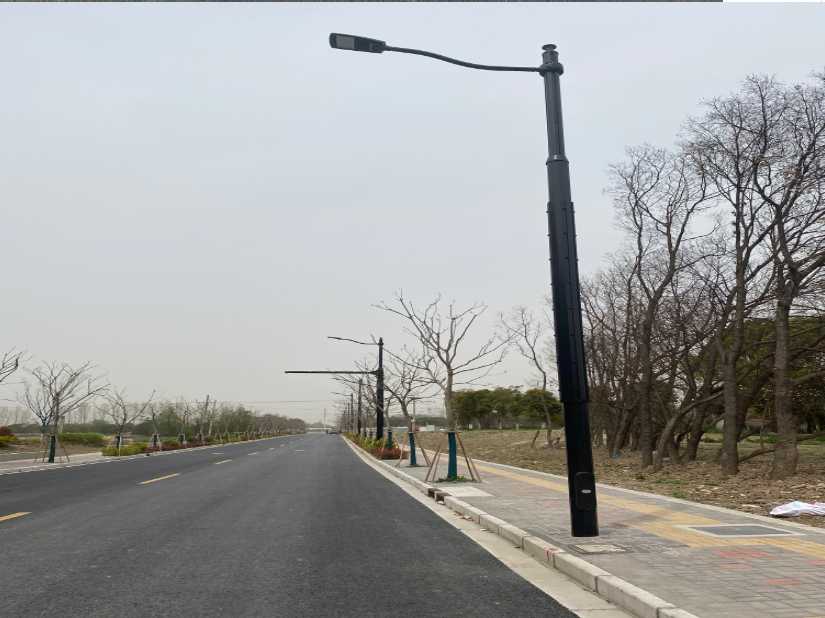 金溪县上海综合杆 太阳能路灯工程